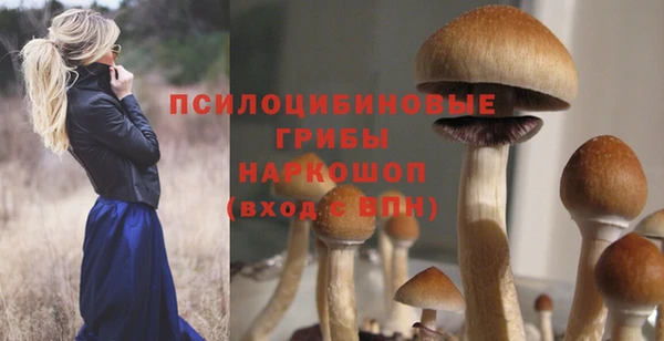 прущие грибы Бутурлиновка