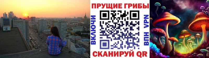 хочу наркоту Мантурово Галлюциногенные грибы Cubensis